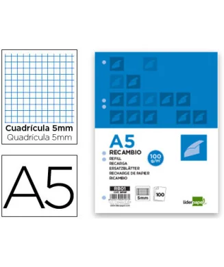 Recarga A5 Liderpapel 100fls 100g Quadriculada P/Dossier