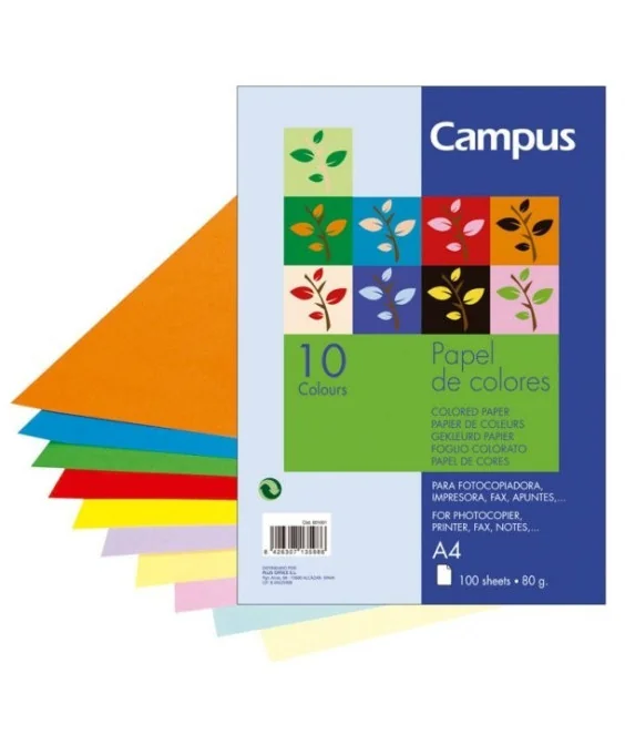 Pack 100 Folhas Papel Fotocópia Campus University A4 80g Cores Sortidas