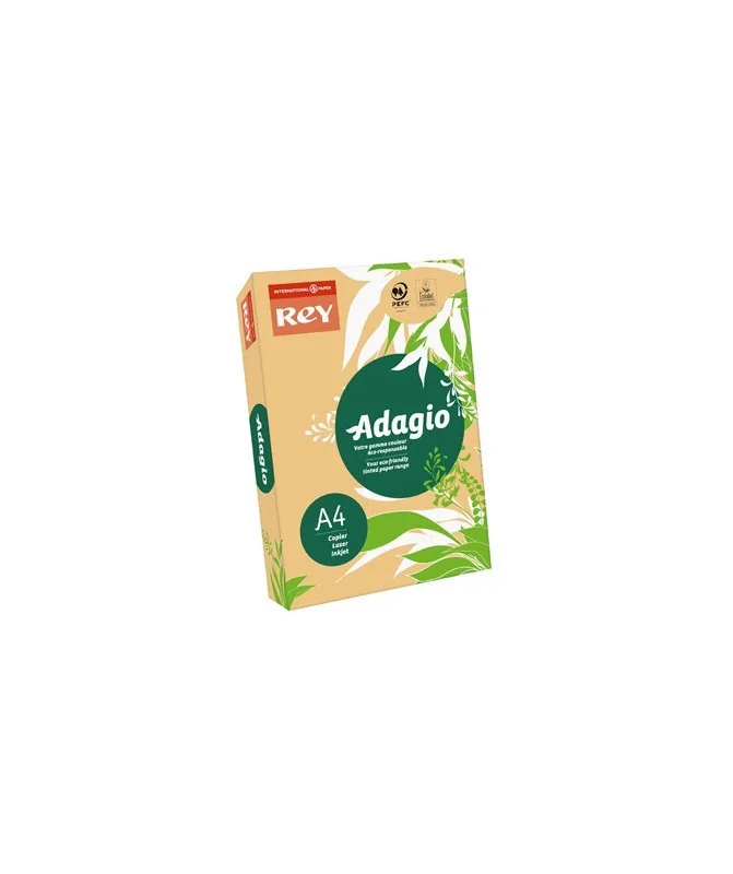 Resma 500 Folhas Papel Fotocópia Adagio A4 80g Intenso 60 Damasco