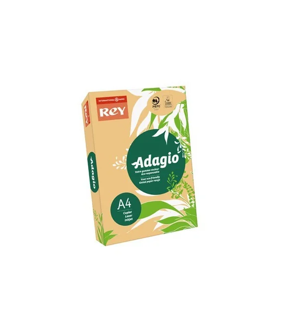 Resma 500 Folhas Papel Fotocópia Adagio A4 80g Intenso 60 Damasco